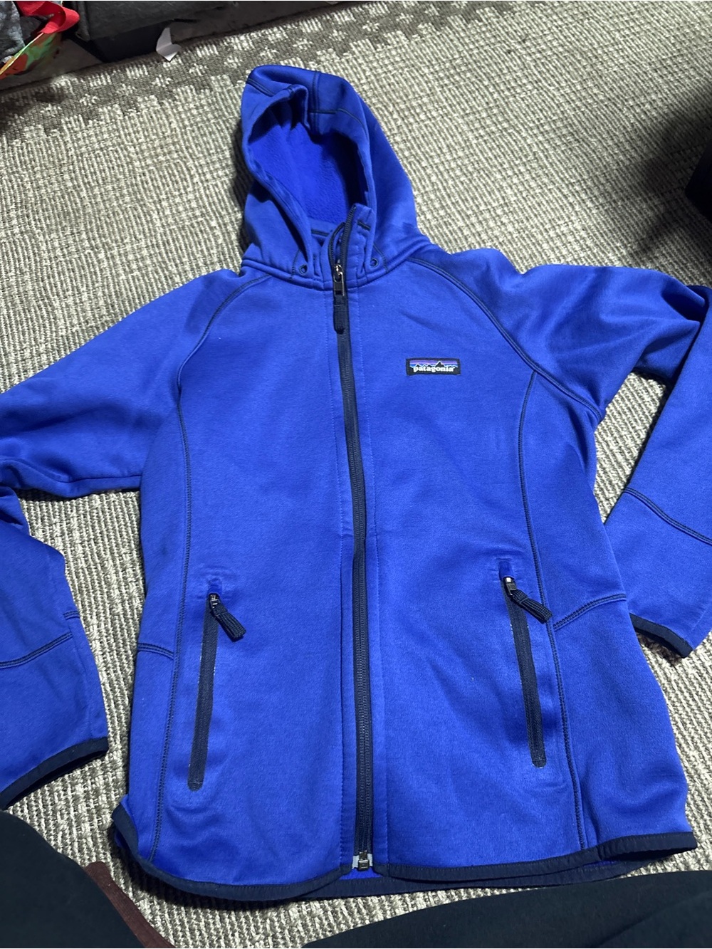 Patagonia Blue Full-Zip Hooded Jacket